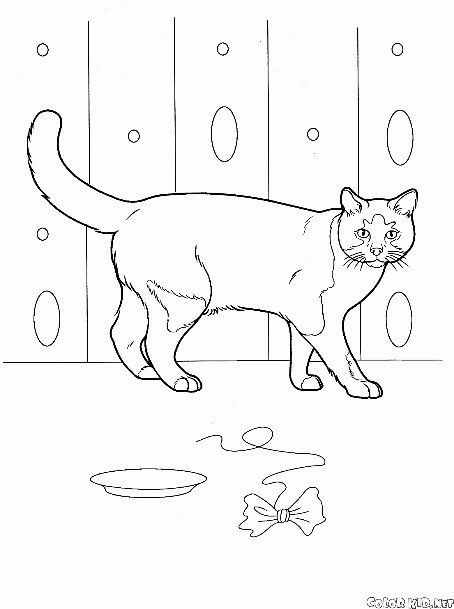 Dibujo Para Colorear Gato Domestico
