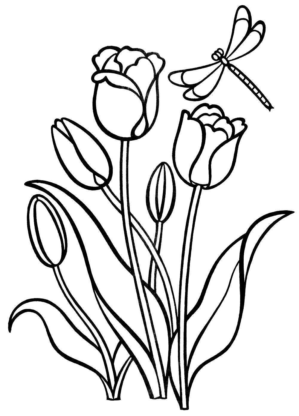 Dibujo para colorear - Tulipanes.