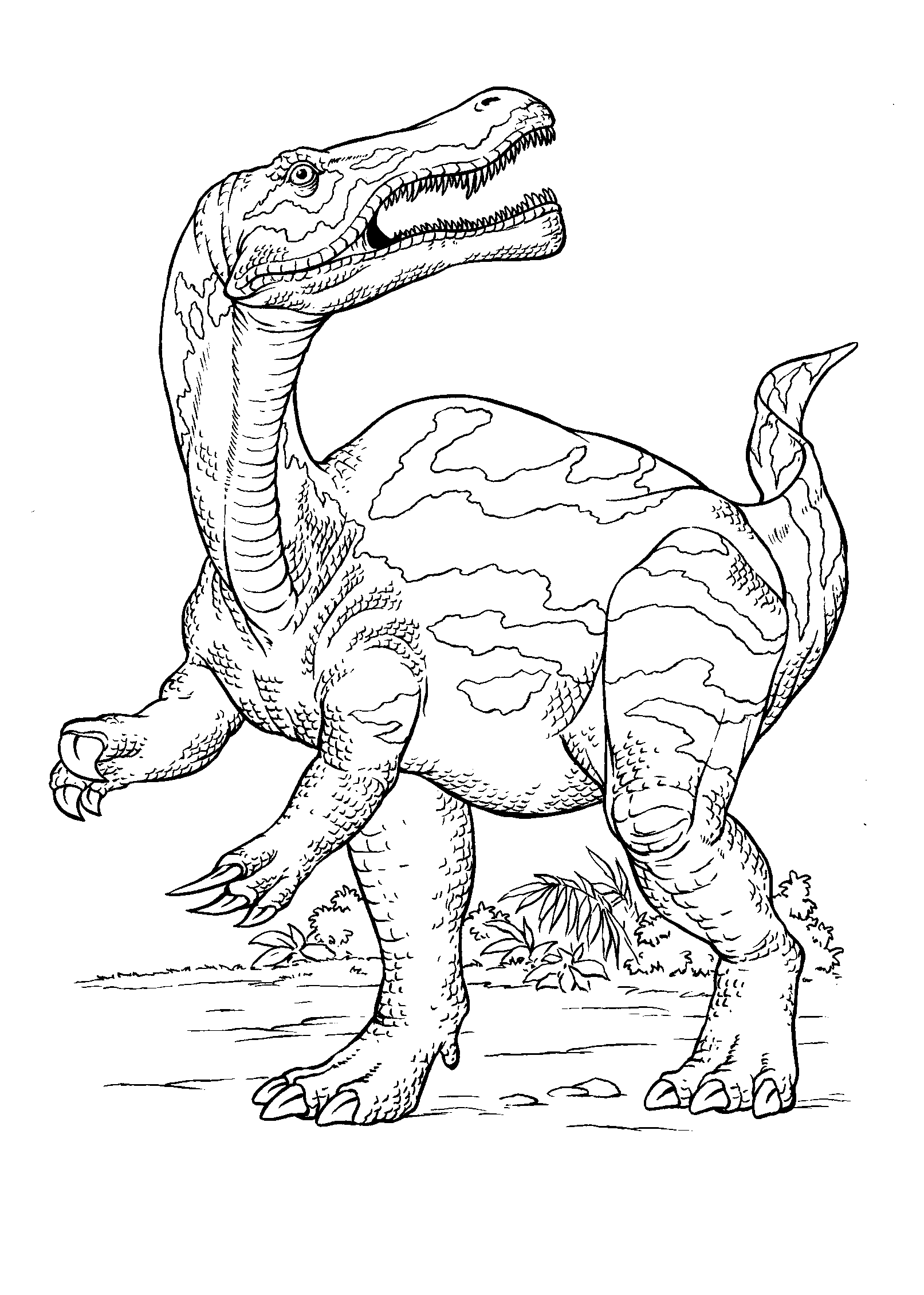 Download Dibujo para colorear - Caza dinosaurio