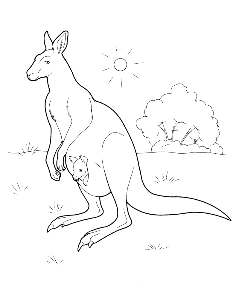 Dibujo para colorear - Canguro en Australia