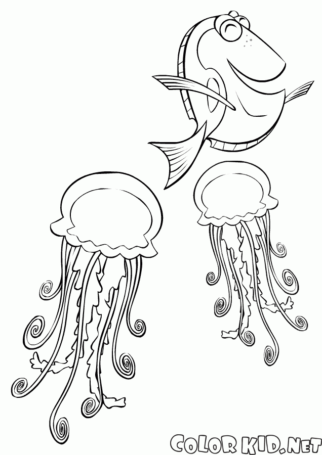 Dibujo para colorear - Dori y medusas