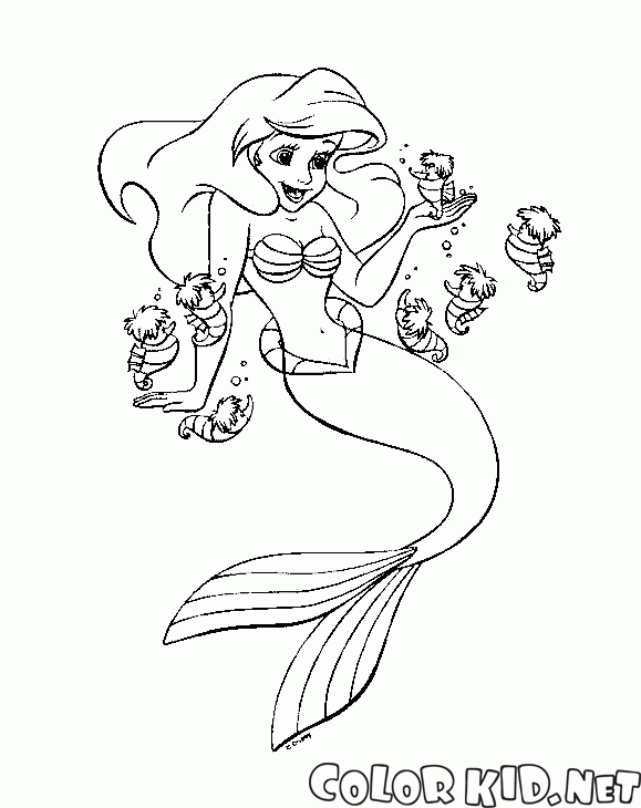 Ariel y caballitos de mar