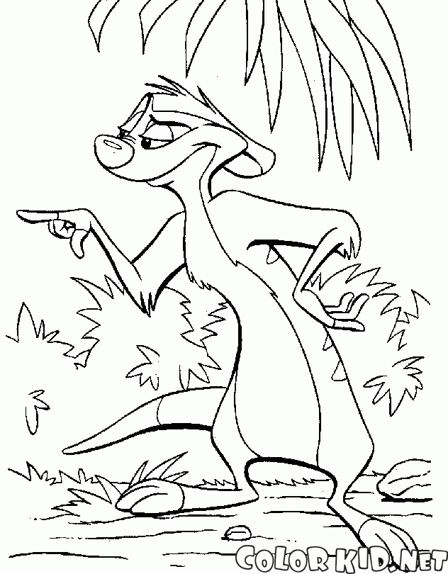 Filósofo-suricata