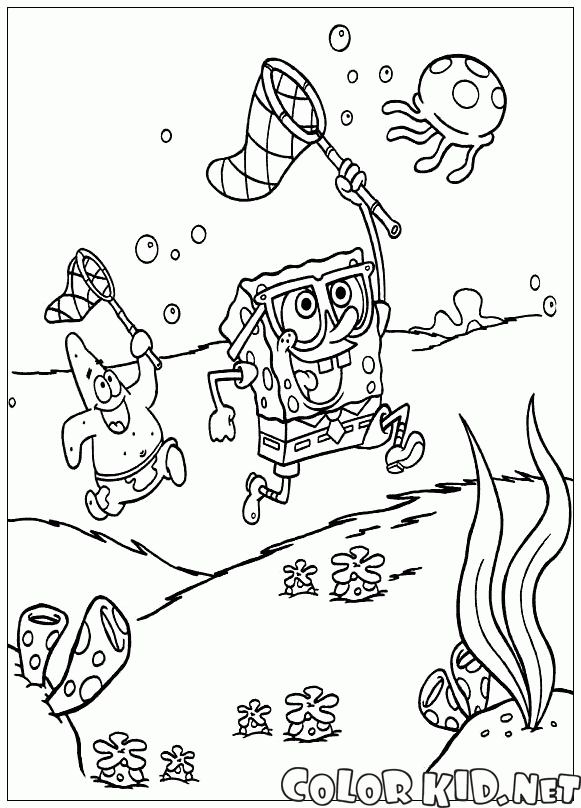 Dibujo para colorear - Amigos capturan medusas