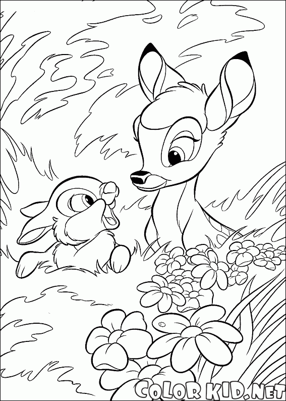 Hare y Bambi