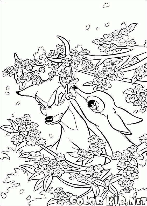 Bambi con un amigo