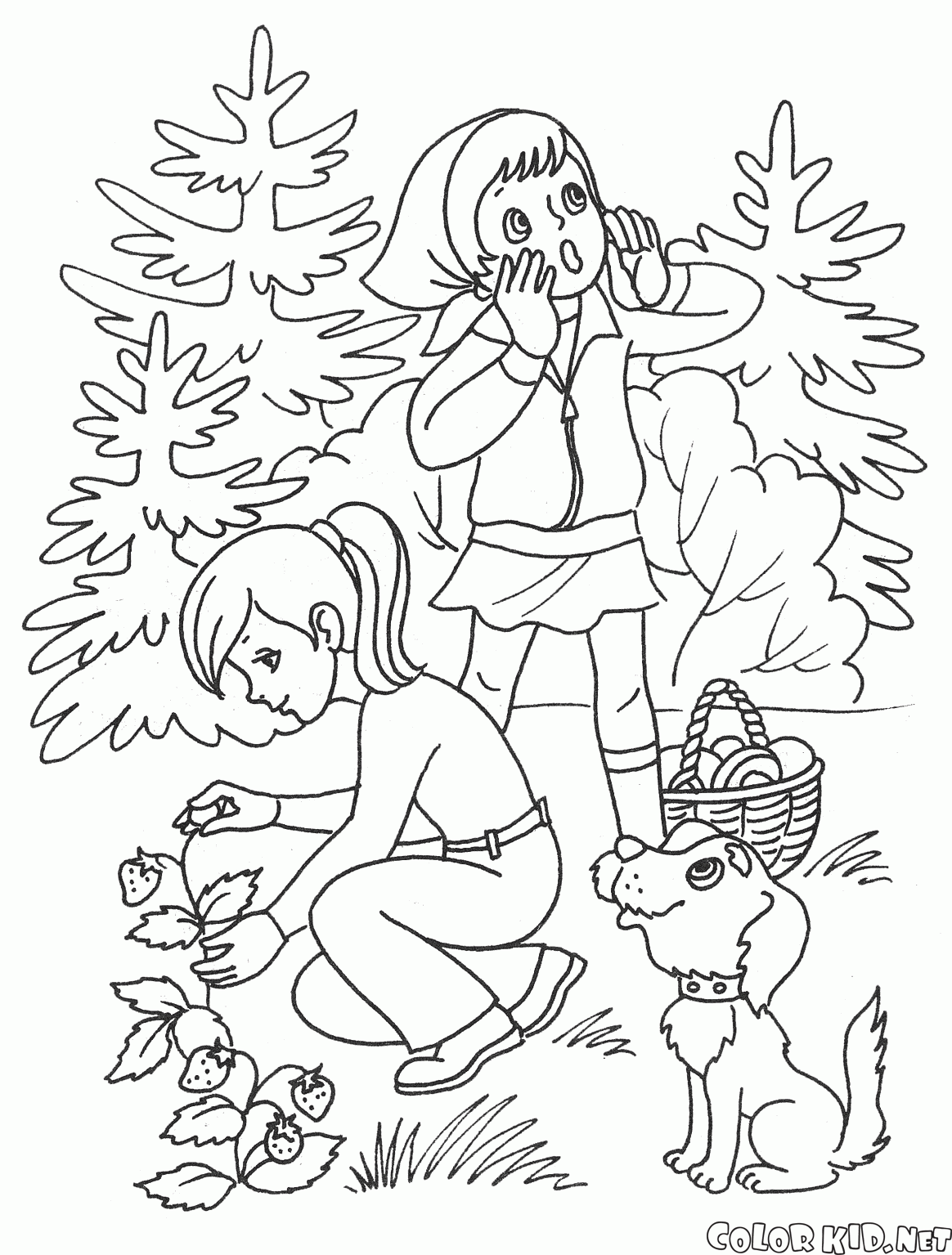 Los niños en el verano en el bosque