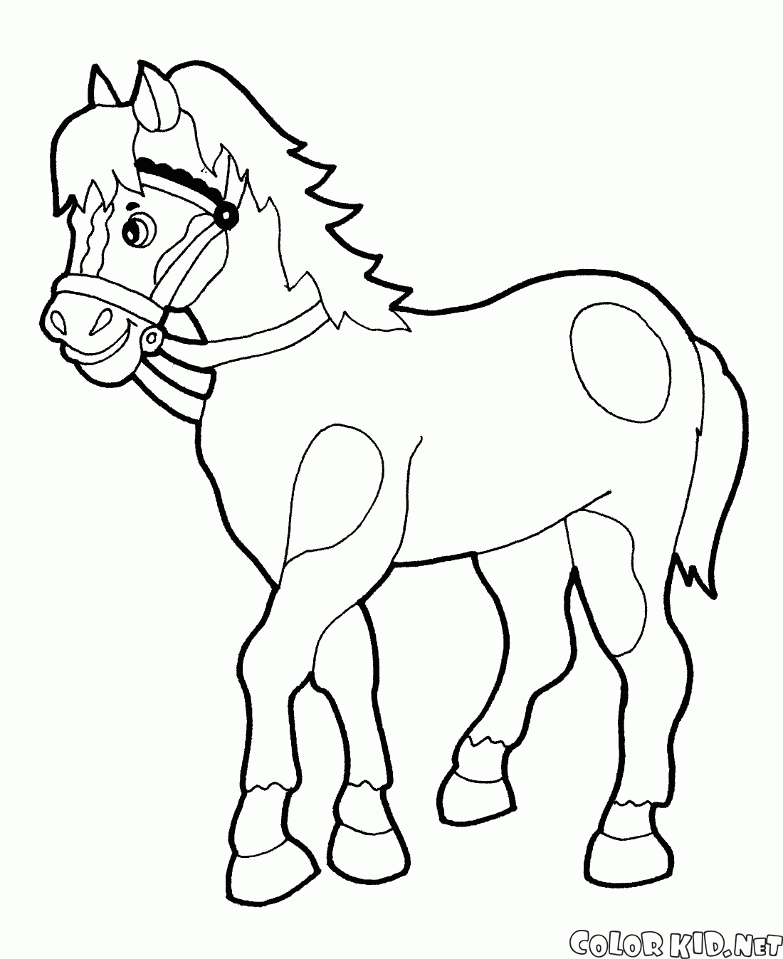 Dibujo para colorear - Paseos a caballo