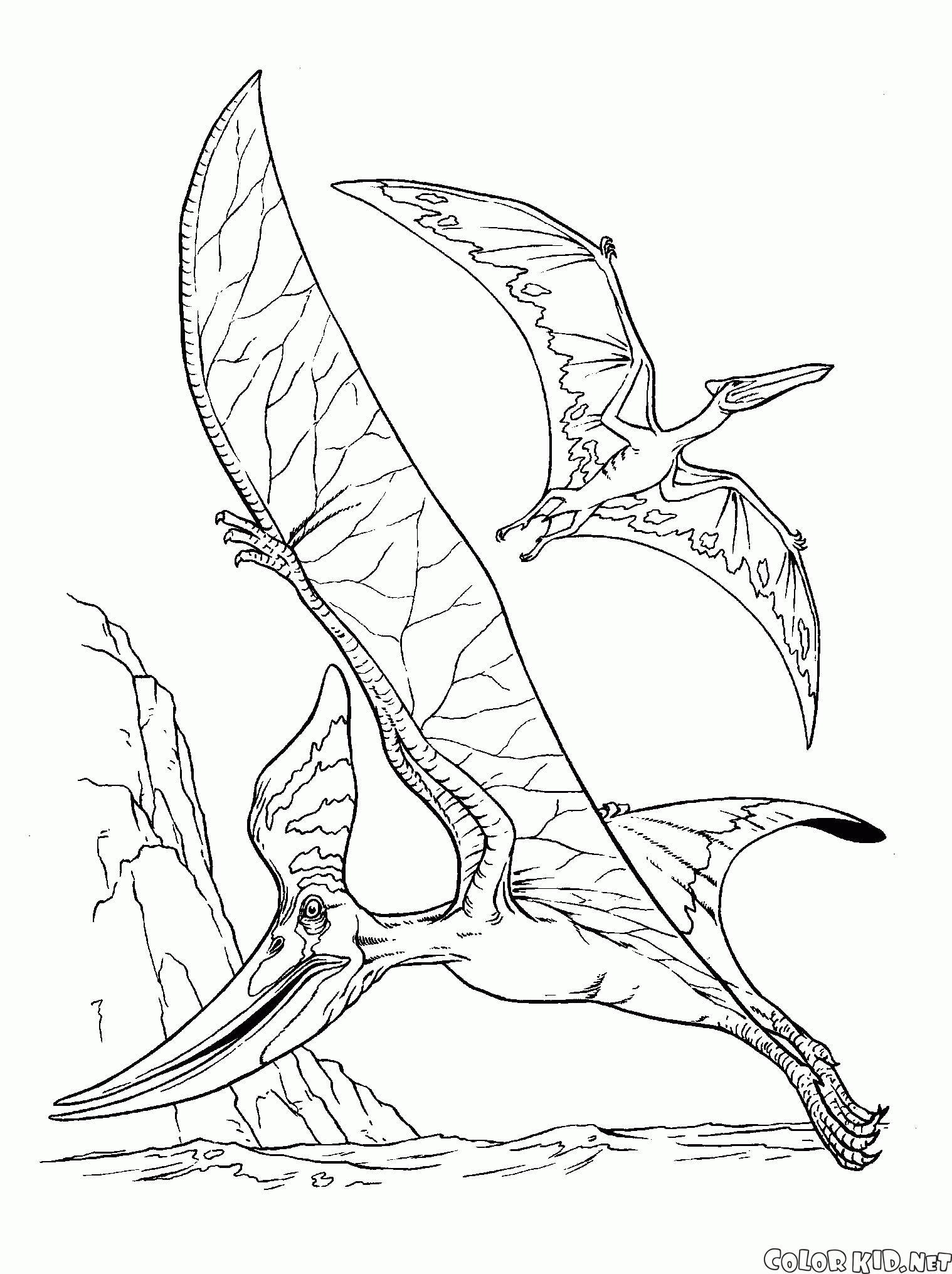 Dibujo para colorear - Pteranodon y un pterodáctilo