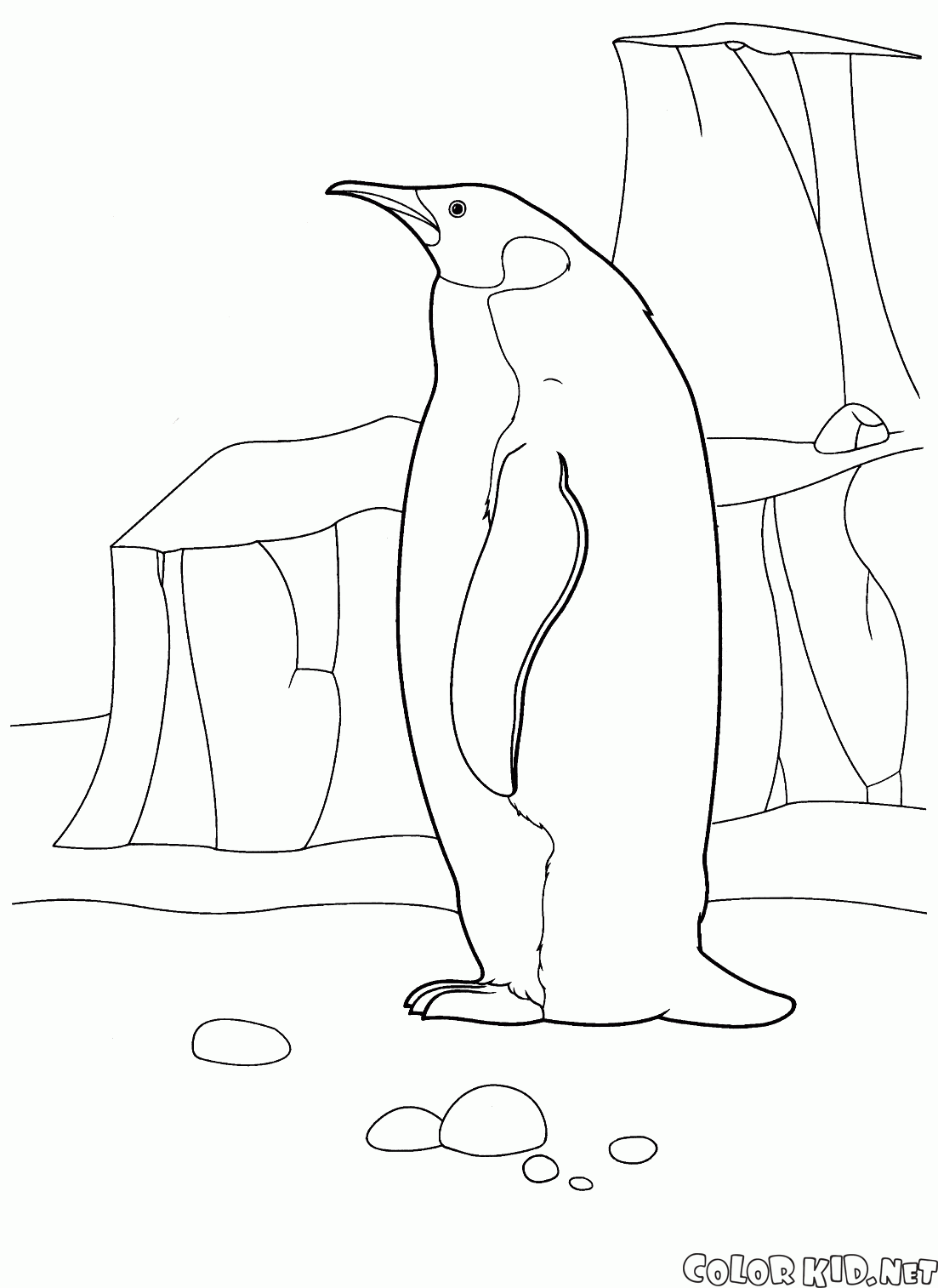 Penguin en el Ártico