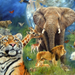 Mundo animal