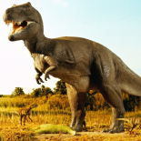 Dinosaurios