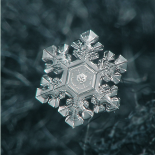 Copos de nieve