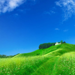Las estaciones Verano
