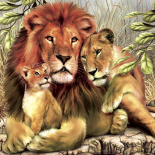 Animales salvajes