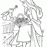 Princesa Aurora y la liebre