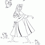 Aurora para un paseo