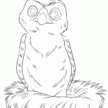 Poco Hawk - Hannah