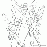 Royal hadas