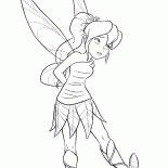 Disney Fairy