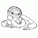 Pequeñas mascotas