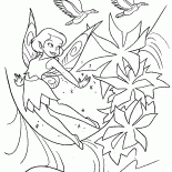 Hadas y flores