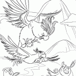 Persiguiendo un pájaro