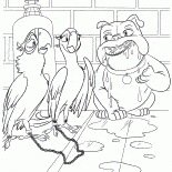 Loros y Luiz