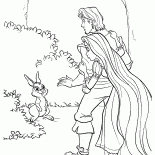 Conejito Bosque