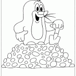 Divertido Mole