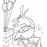 El pájaro en el techo