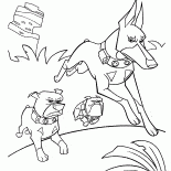 Tres perros