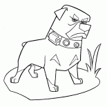 Perro enojado