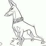 El collar eléctrico en el perro