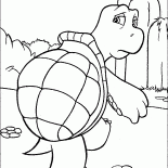 Tortuga del reptil