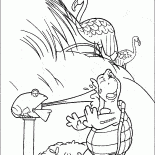 Tortuga