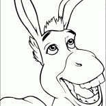Burro