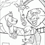 El cumpleaños de Marty