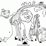 Héroes de Madagascar