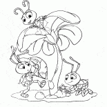 Hormigas