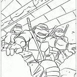 Tortugas en las cloacas