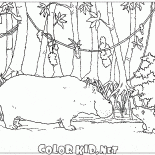 Reunión con el hipopótamo