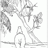 Lars en los trópicos