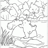 Oso Lars
