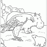 Águila y Lars