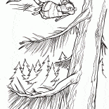 Zarigüeya Volar