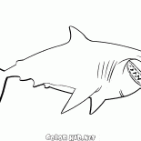 Bruce el tiburón