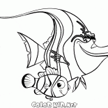 Cicatriz y Nemo