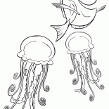 Dori y medusas