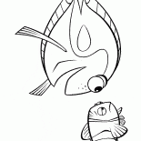 Océano peces